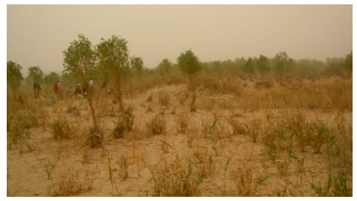 Sustainability 11 02578 i007 Sustainability 11 02578 i007