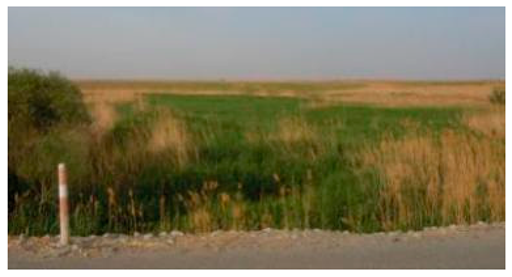 Sustainability 11 02578 i008 Sustainability 11 02578 i008