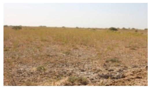 Sustainability 11 02578 i009 Sustainability 11 02578 i009