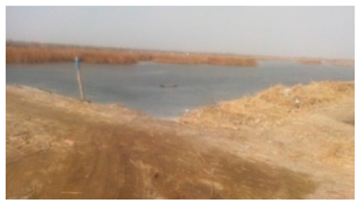 Sustainability 11 02578 i011 Sustainability 11 02578 i011