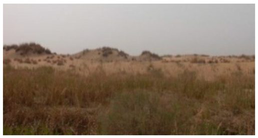 Sustainability 11 02578 i013 Sustainability 11 02578 i013