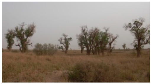 Sustainability 11 02578 i014 Sustainability 11 02578 i014