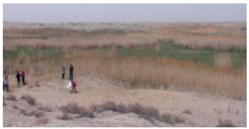 Sustainability 11 02578 i015 Sustainability 11 02578 i015