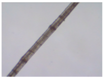 Sustainability 11 02655 i001 Sustainability 11 02655 i001