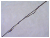 Sustainability 11 02655 i002 Sustainability 11 02655 i002