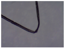 Sustainability 11 02655 i003 Sustainability 11 02655 i003