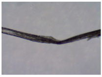 Sustainability 11 02655 i004 Sustainability 11 02655 i004