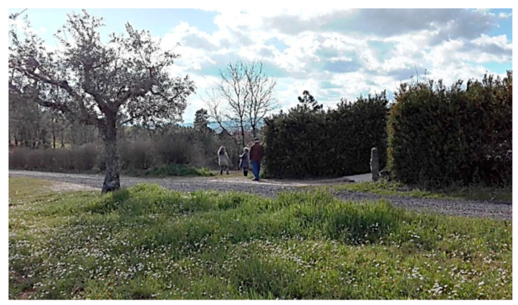 Sustainability 11 02668 g001