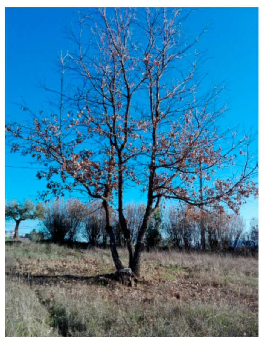 Sustainability 11 02668 g002