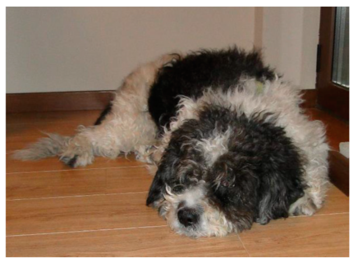 Sustainability 11 02668 g003