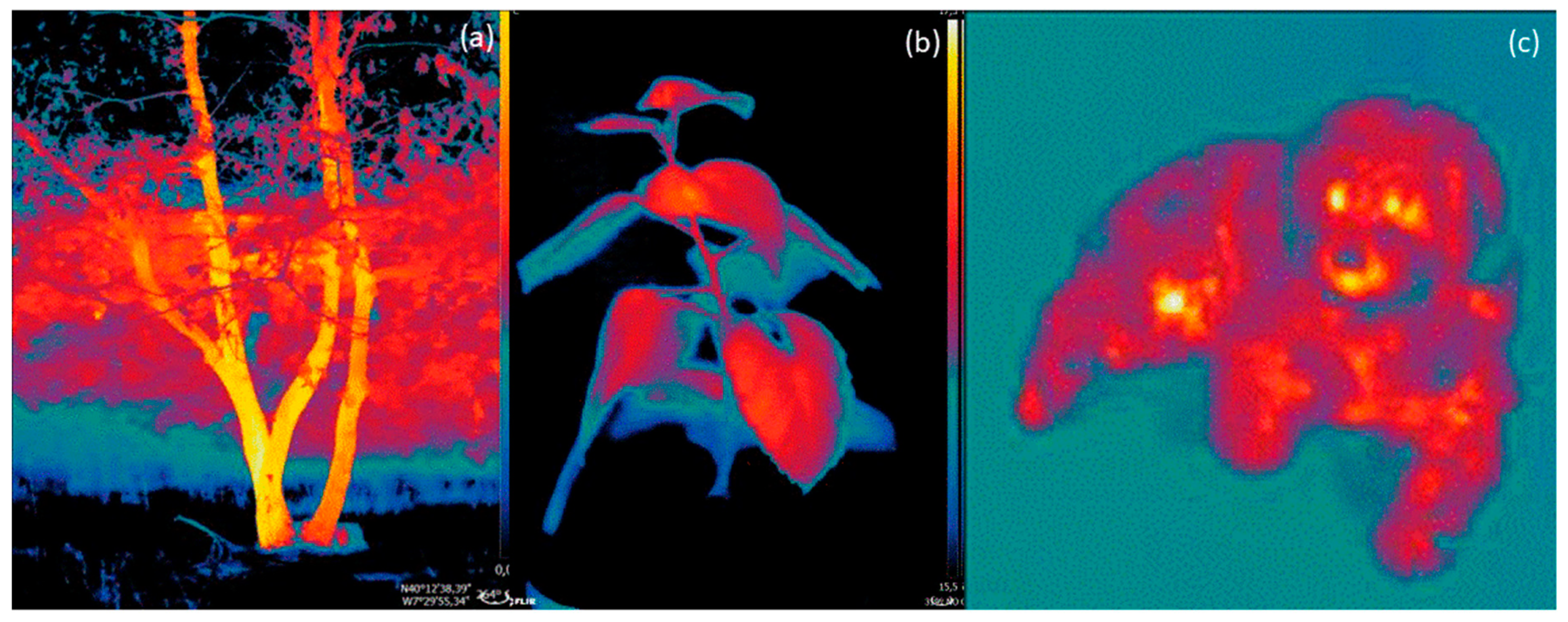 Sustainability 11 02668 g004