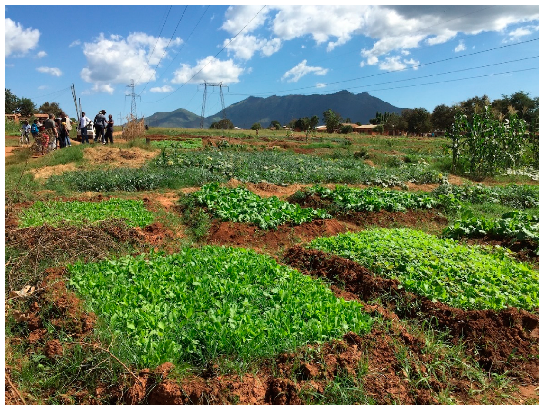 Sustainability 11 02729 g002