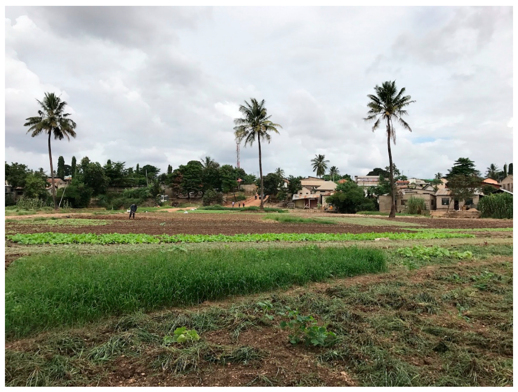 Sustainability 11 02729 g003