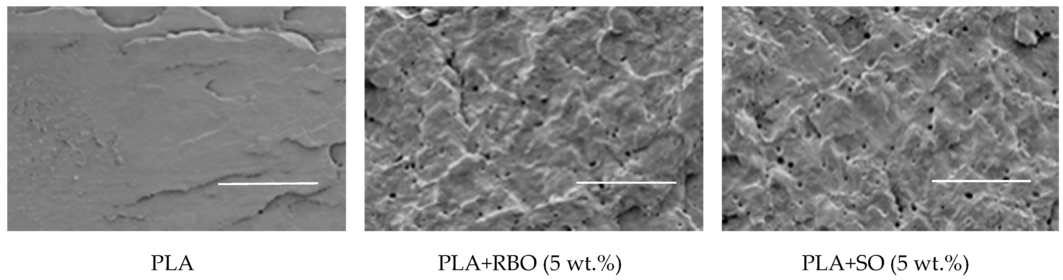 Sustainability 11 02783 g002