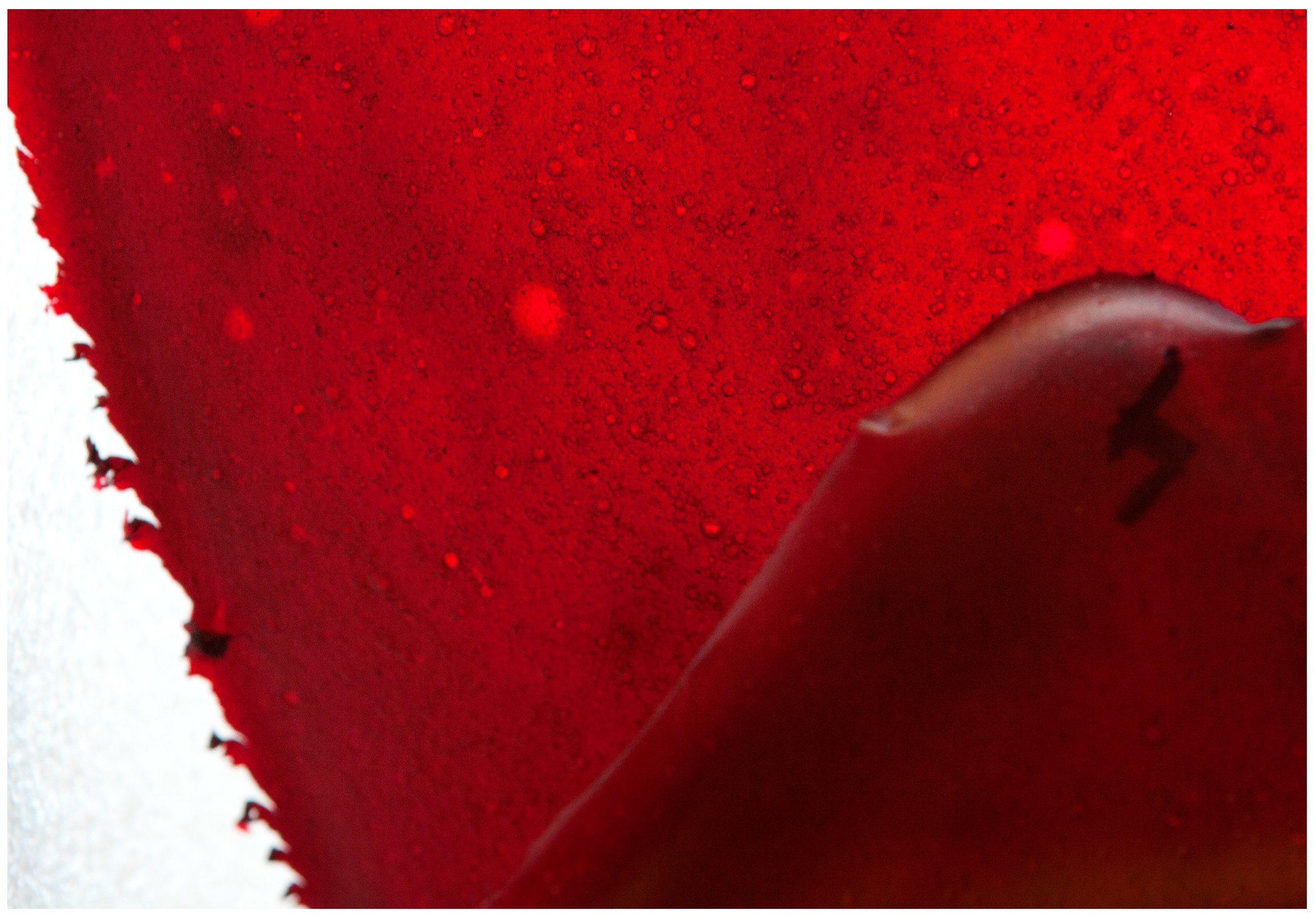 Sustainability 11 02800 g001