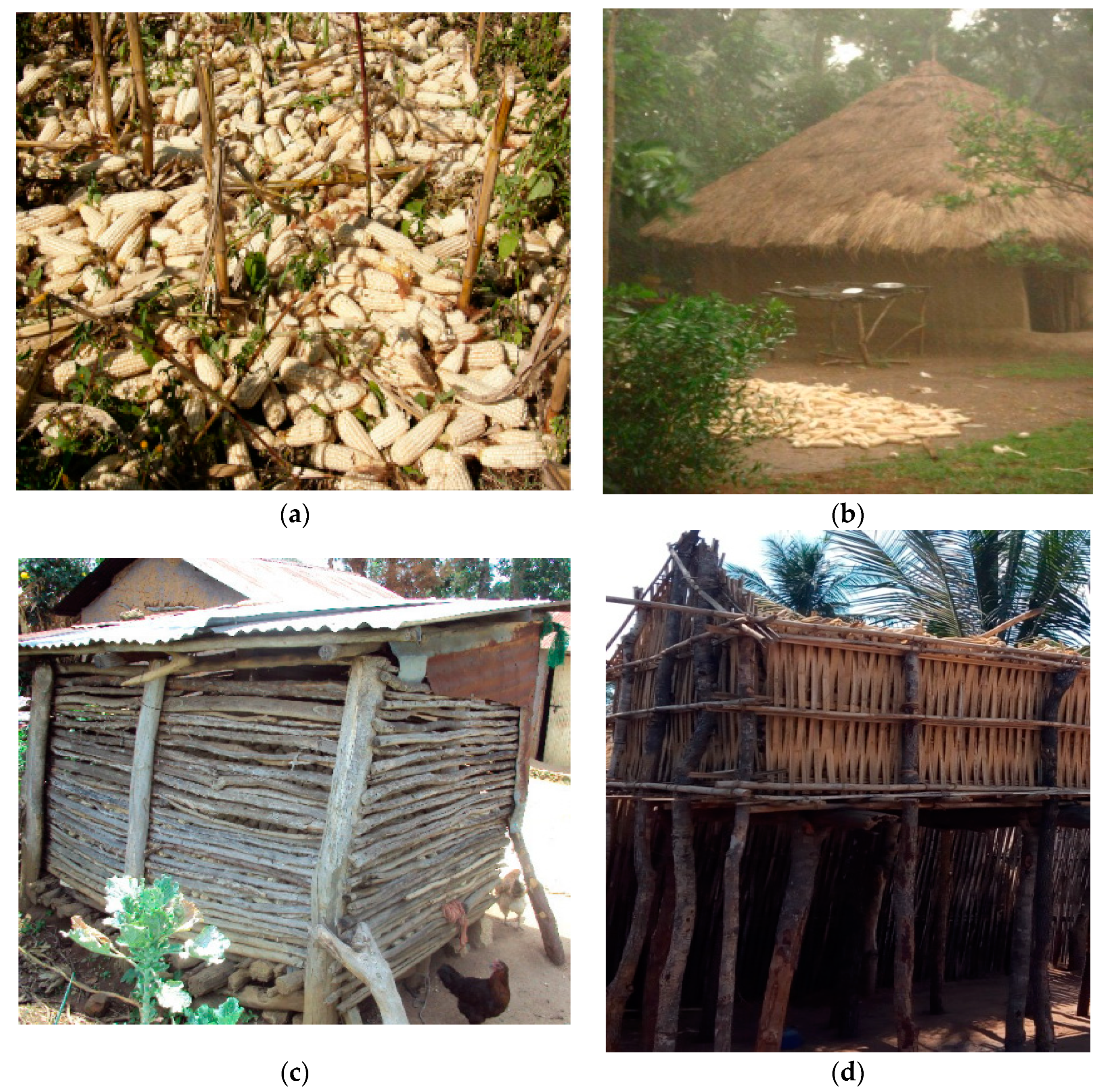 Sustainability 11 02827 g003