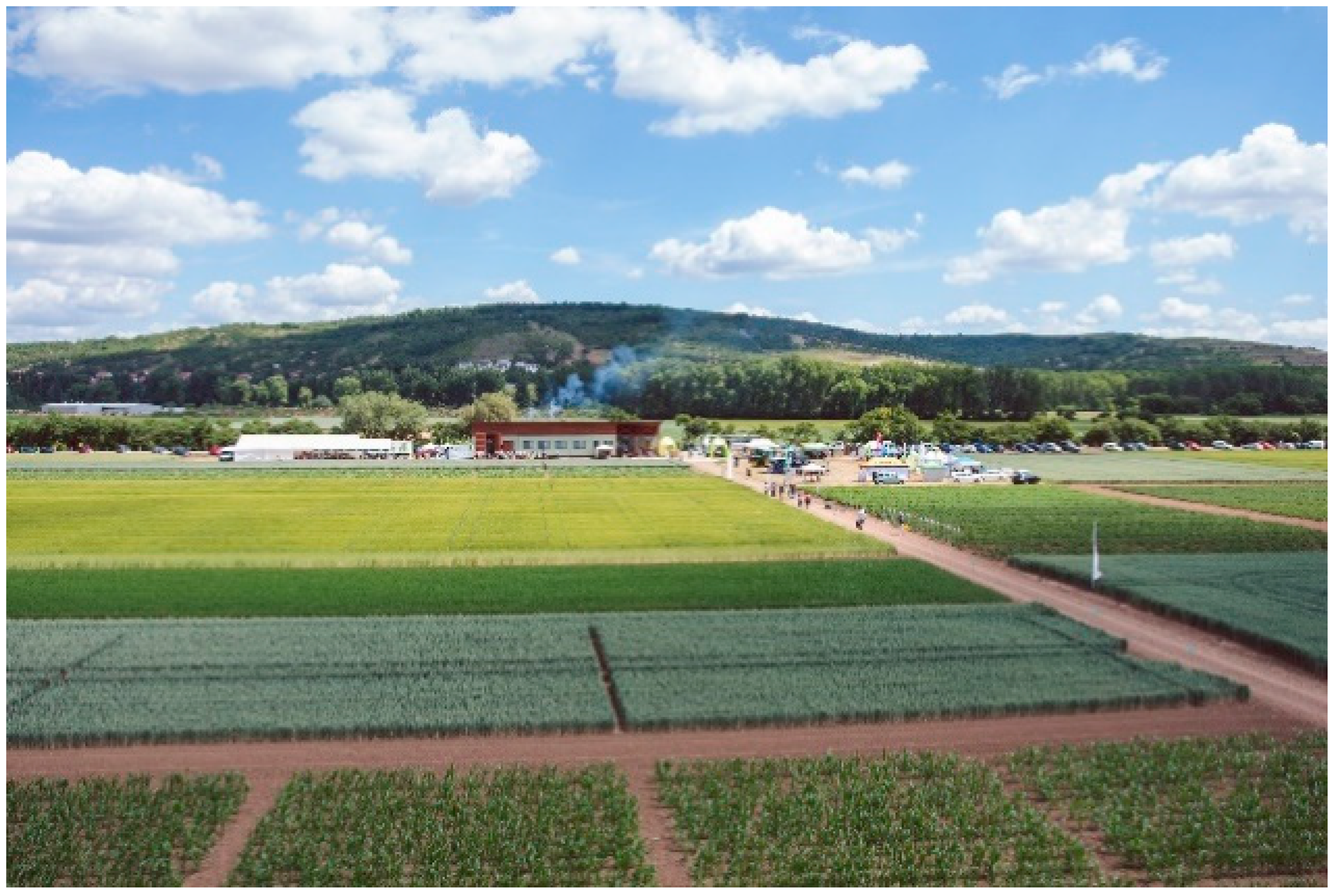 Sustainability 11 02906 g007