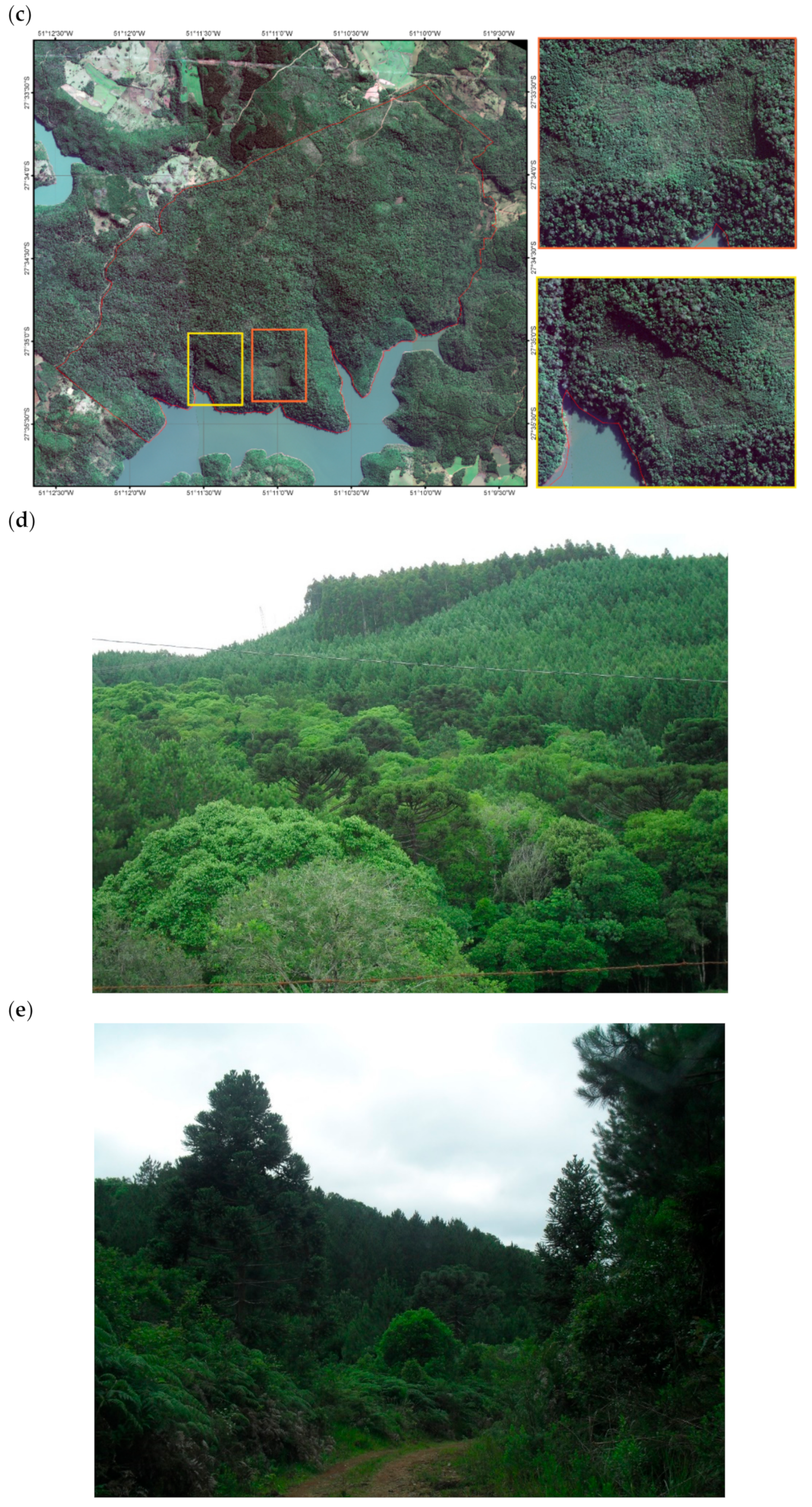 Sustainability 11 02948 g006b