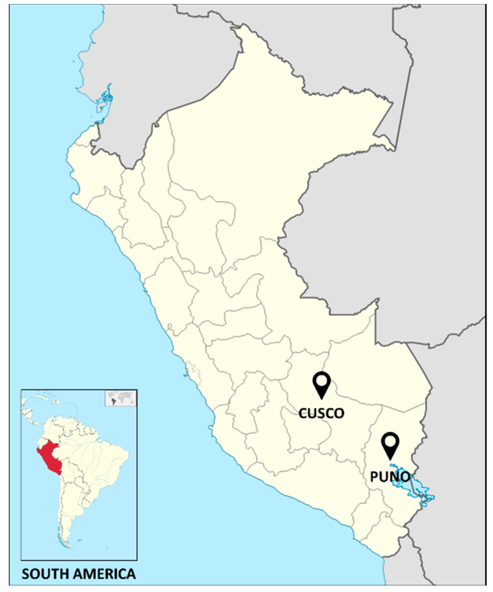 Sustainability 11 03058 g001