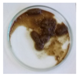 Sustainability 11 03083 i006