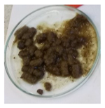 Sustainability 11 03083 i008