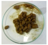 Sustainability 11 03083 i020