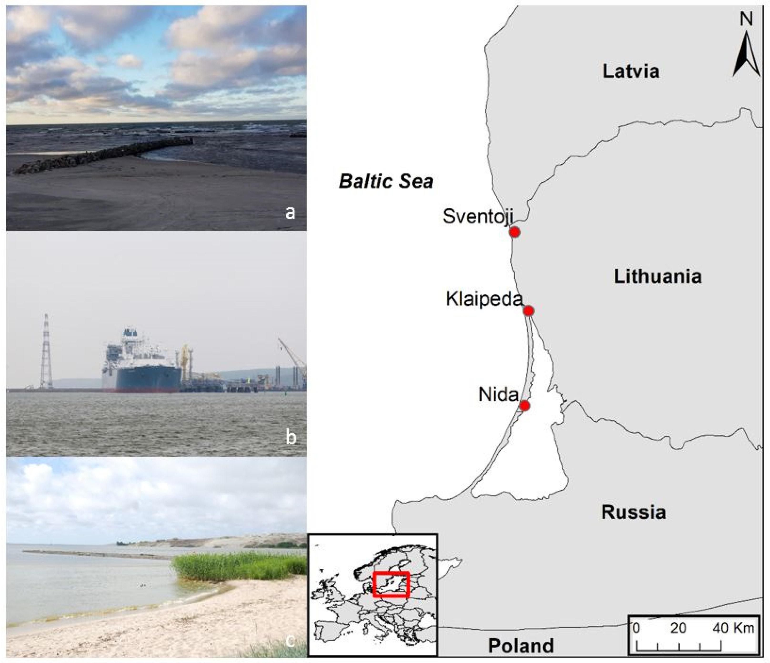 Sustainability 11 03175 g004