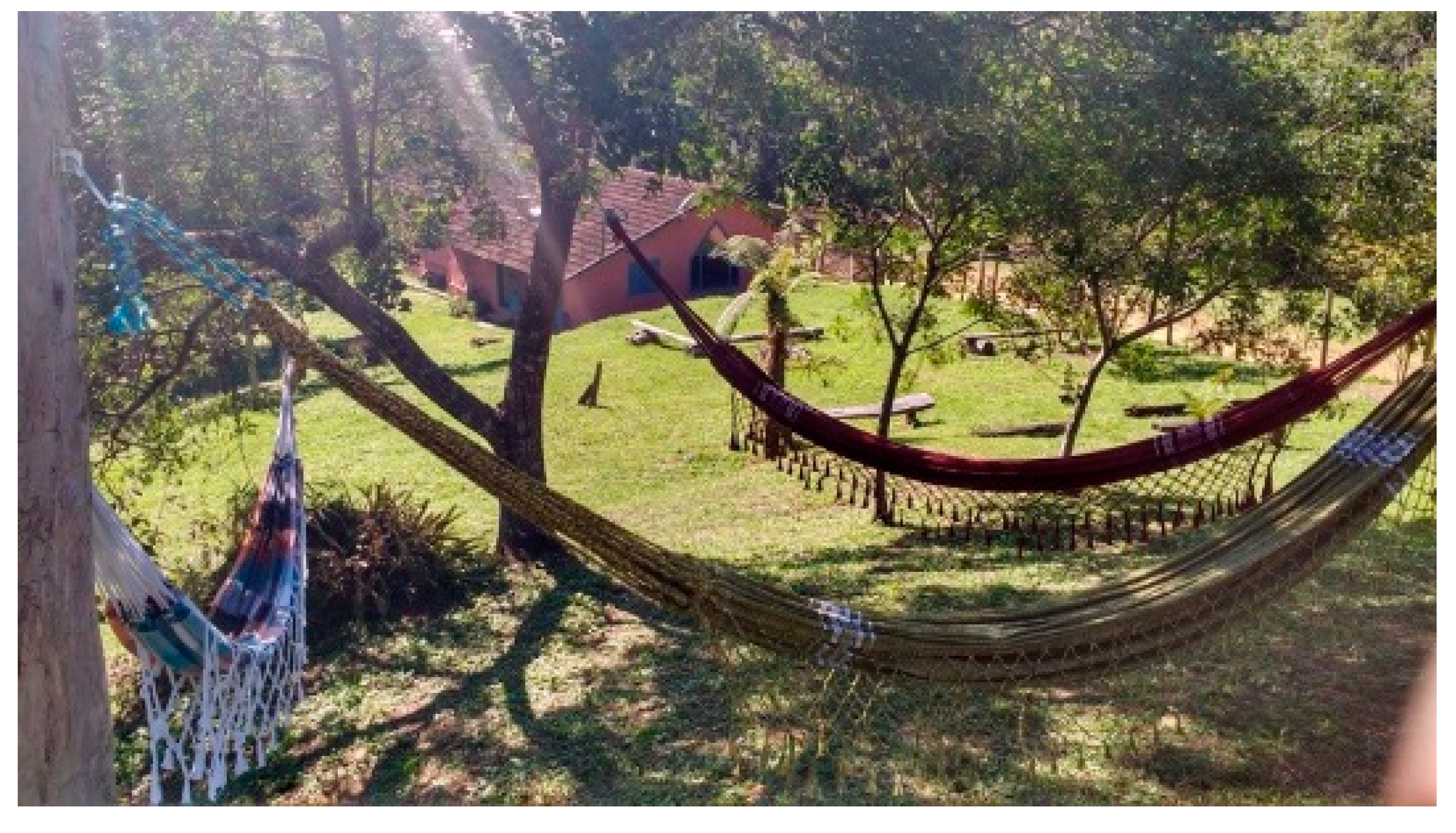 Sustainability 11 03236 g006