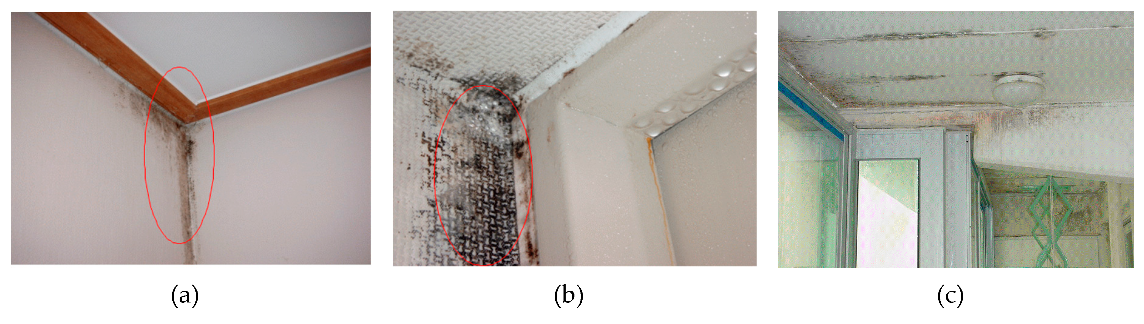 Sustainability 11 03272 g003