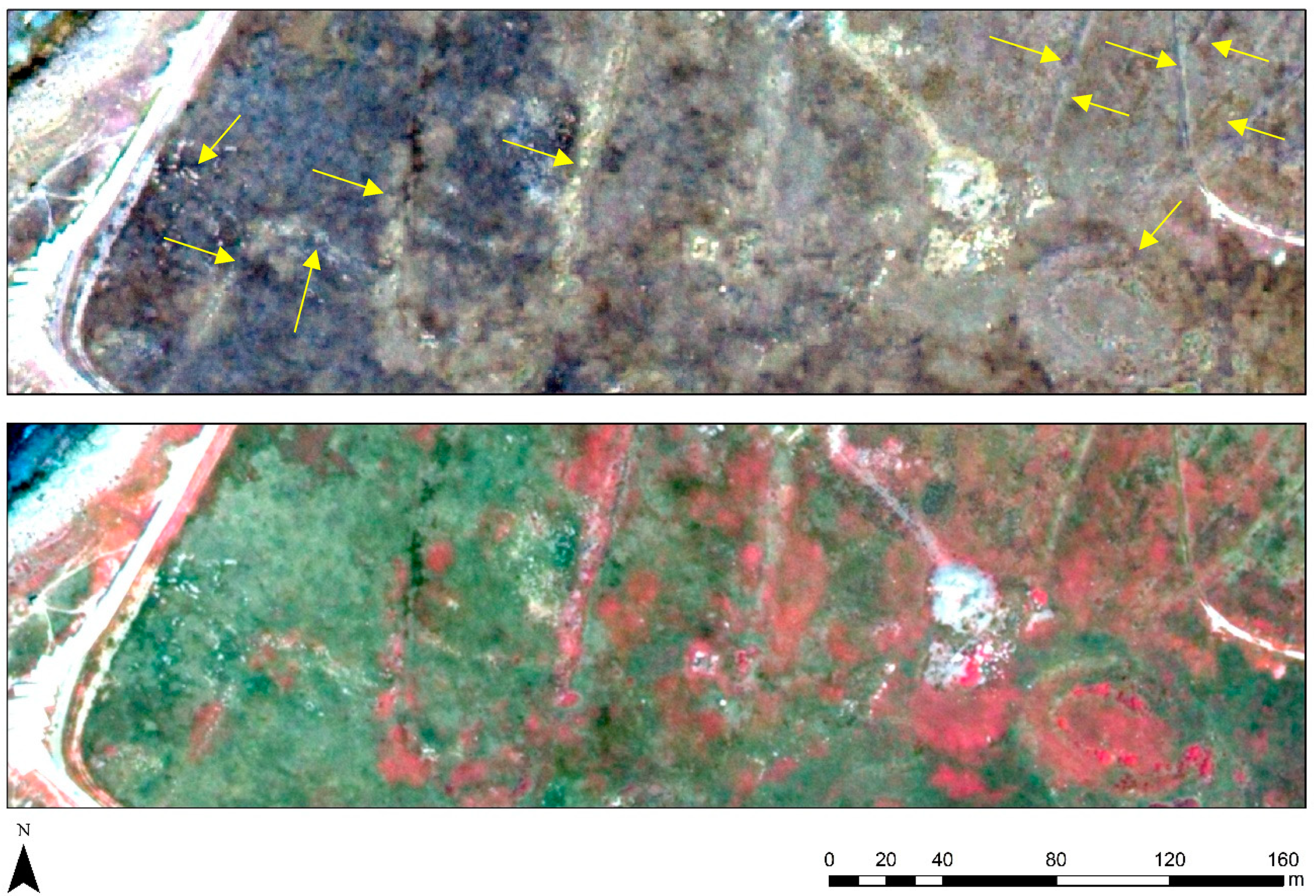 Sustainability 11 03339 g005