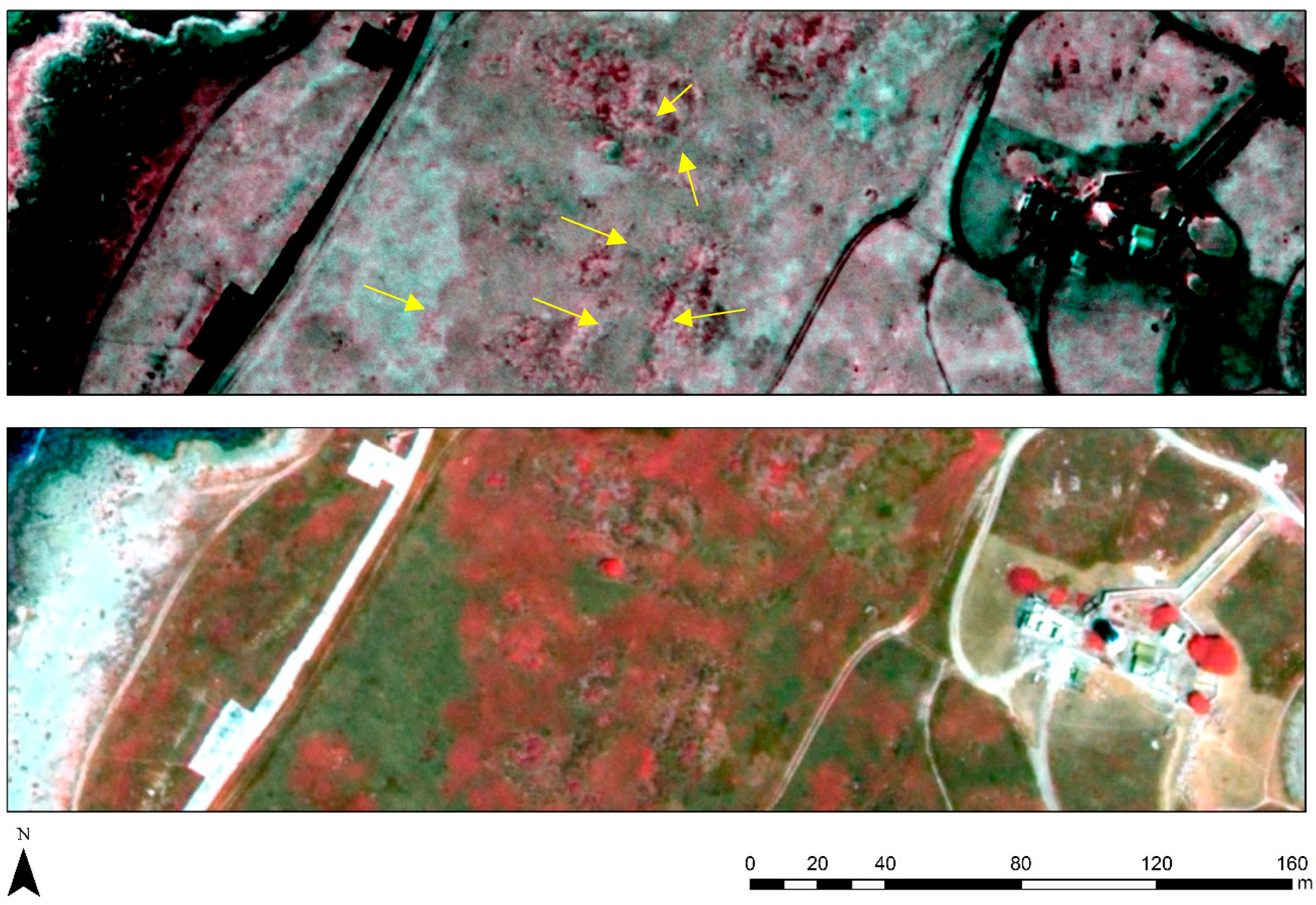 Sustainability 11 03339 g006