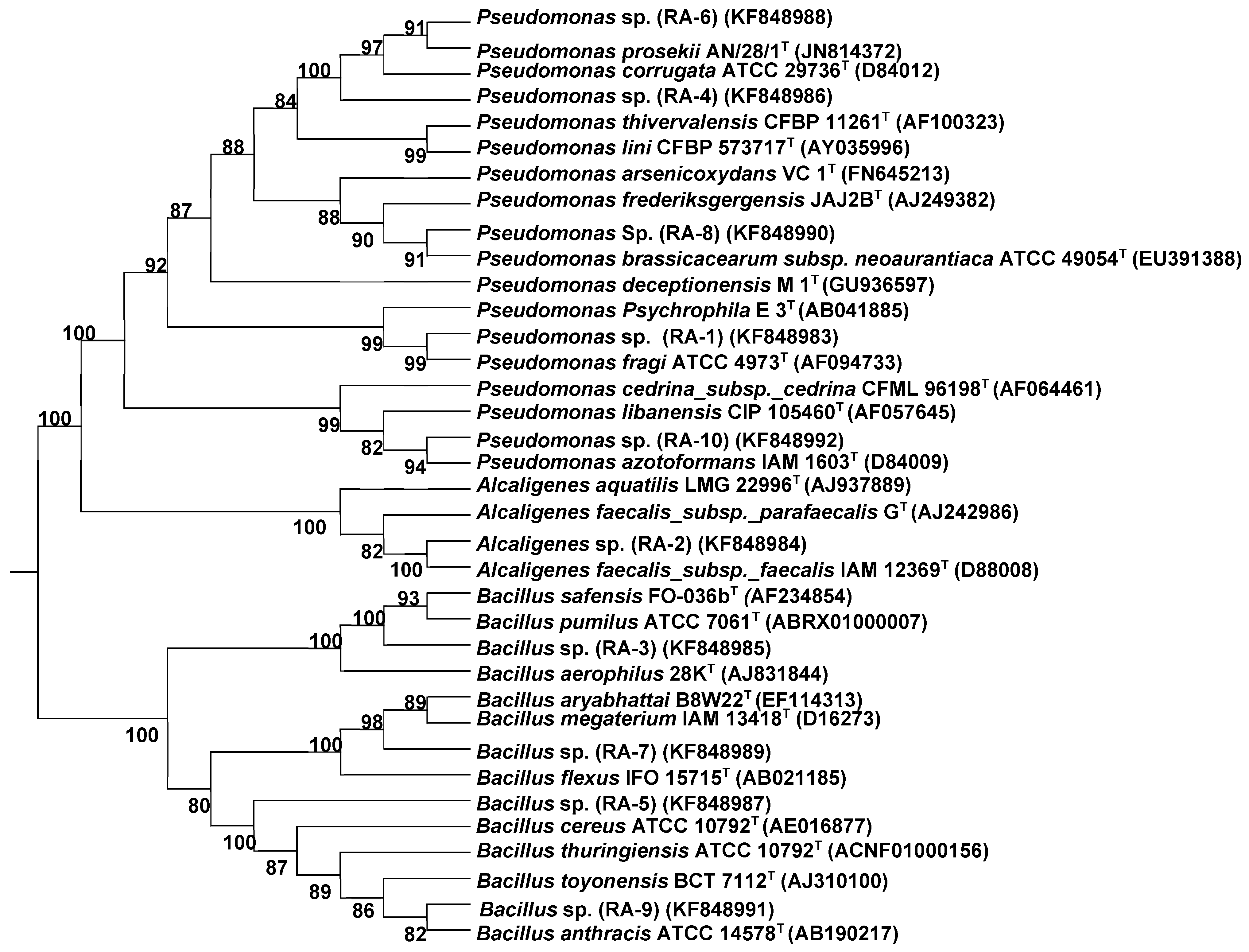 Sustainability 11 03361 g001 Sustainability 11 03361 g001
