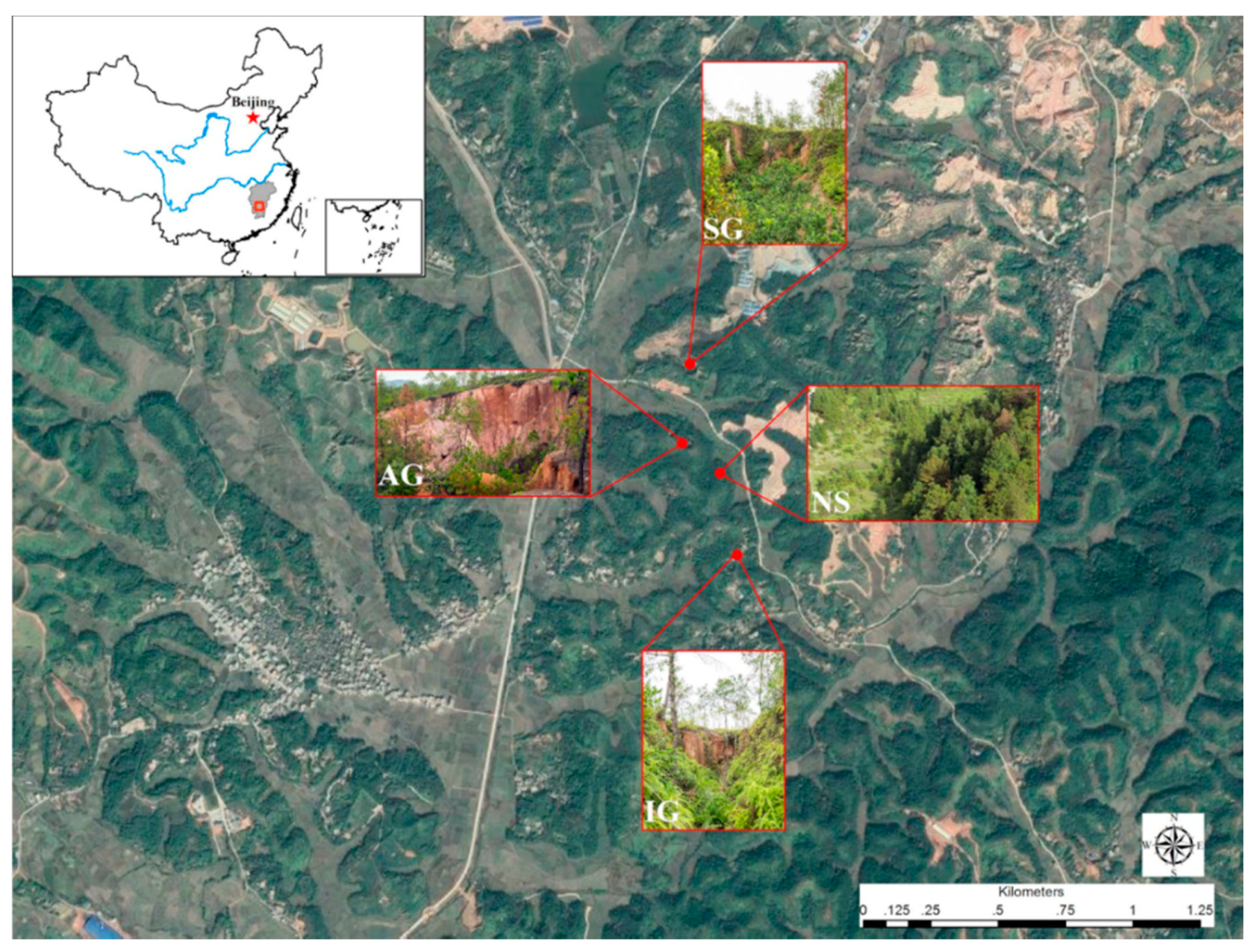 Sustainability 11 03369 g001 Sustainability 11 03369 g001