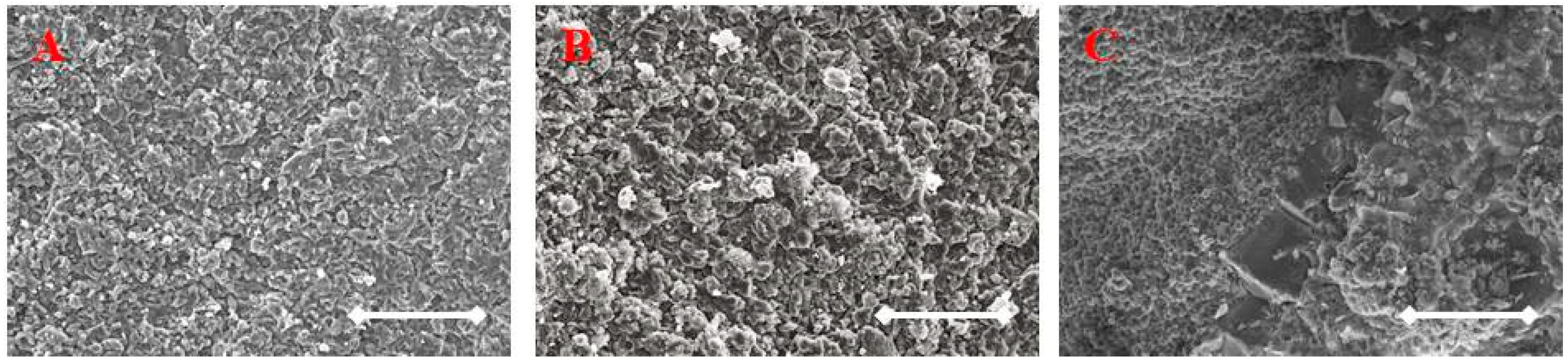 Sustainability 11 03481 g007