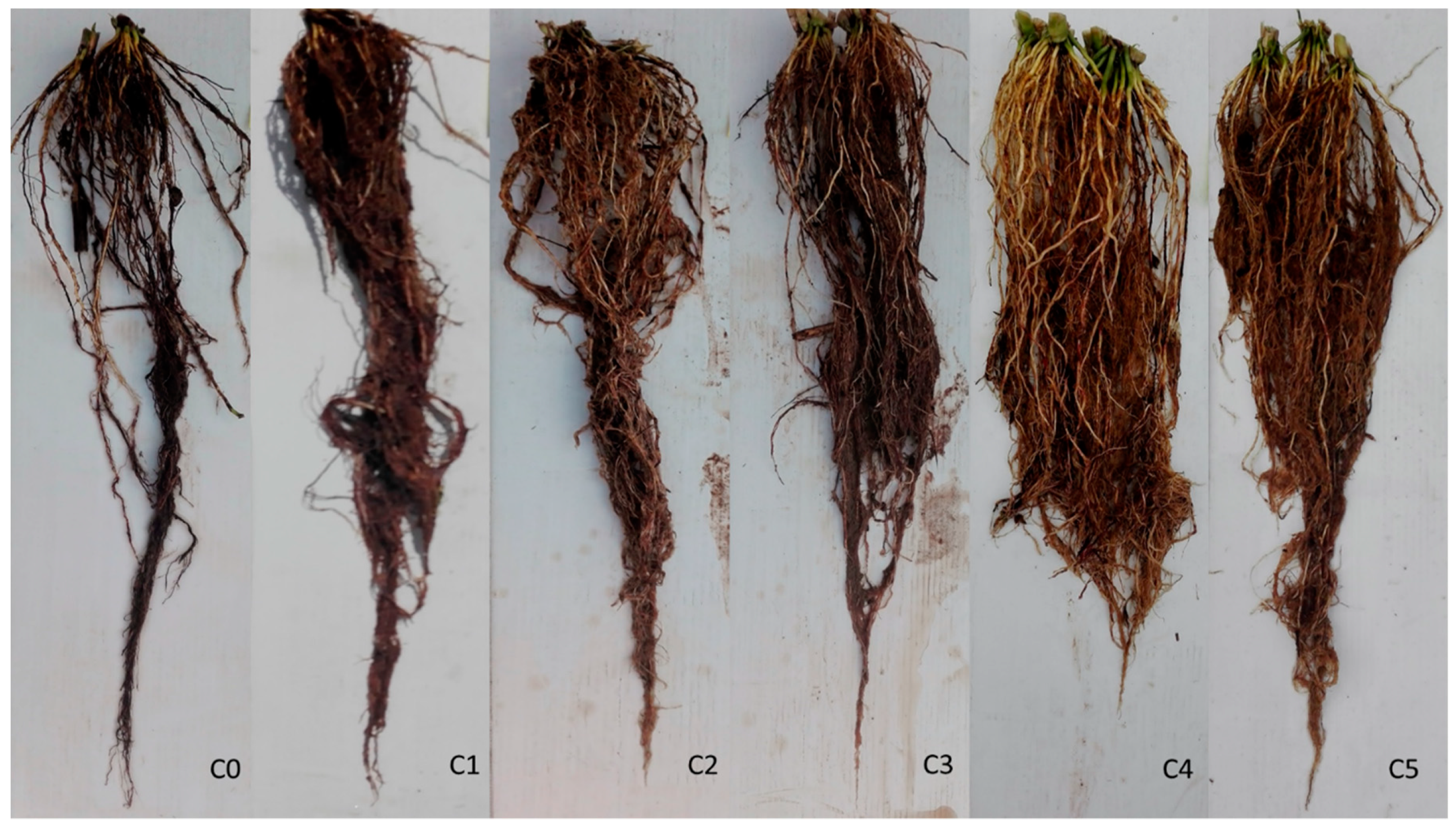 Sustainability 11 03552 g004