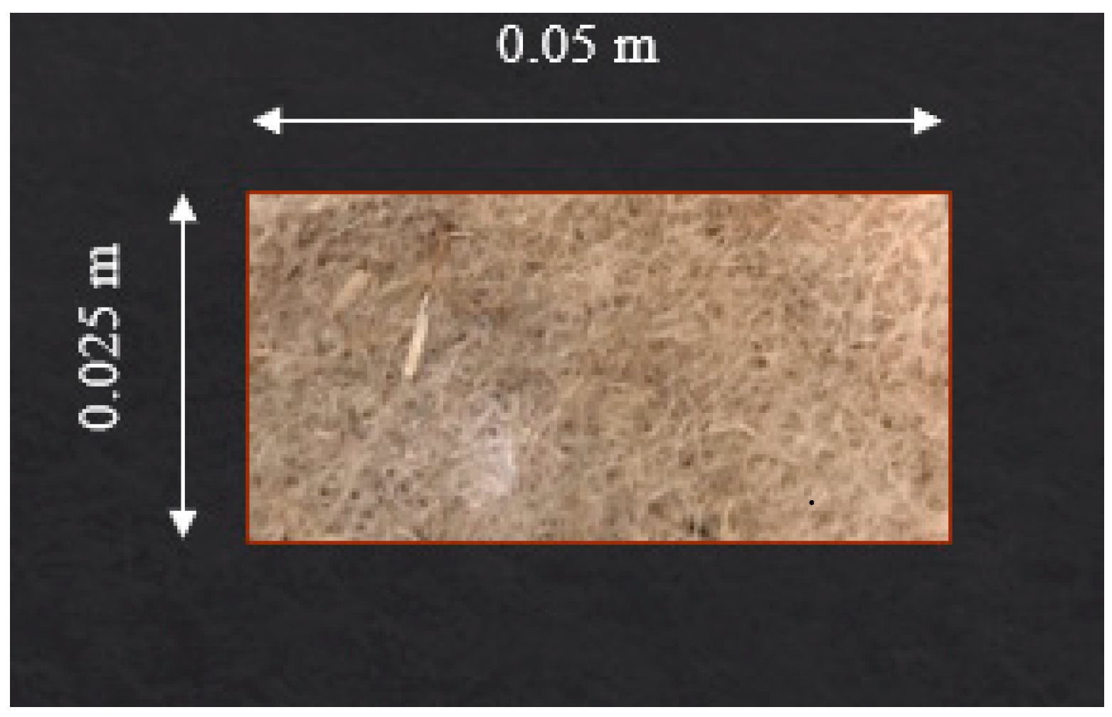 Sustainability 11 03558 g002