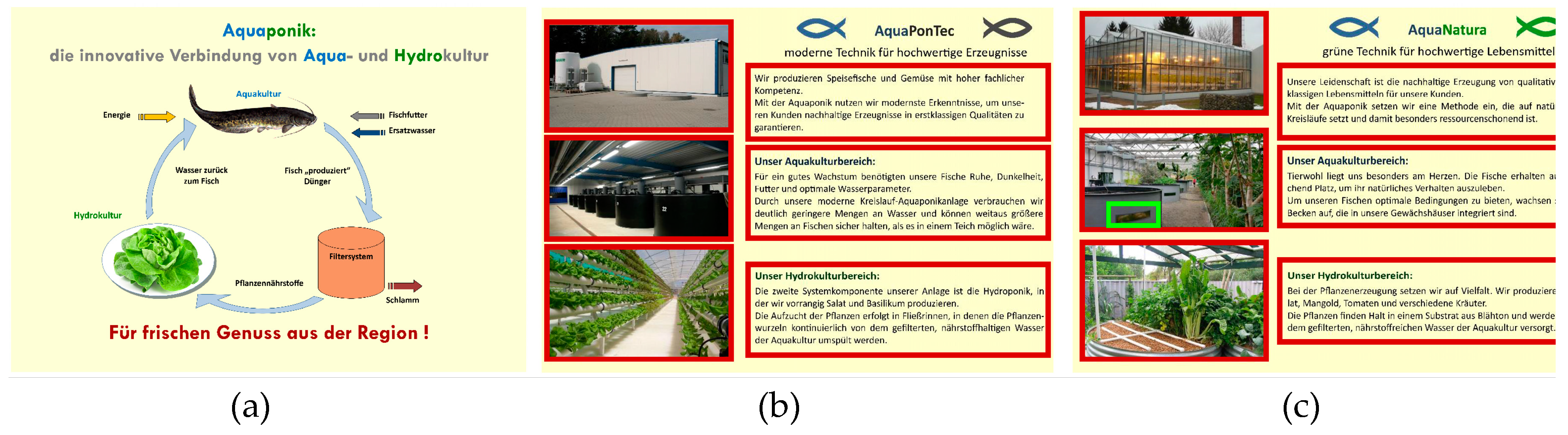 Sustainability 11 03580 g001