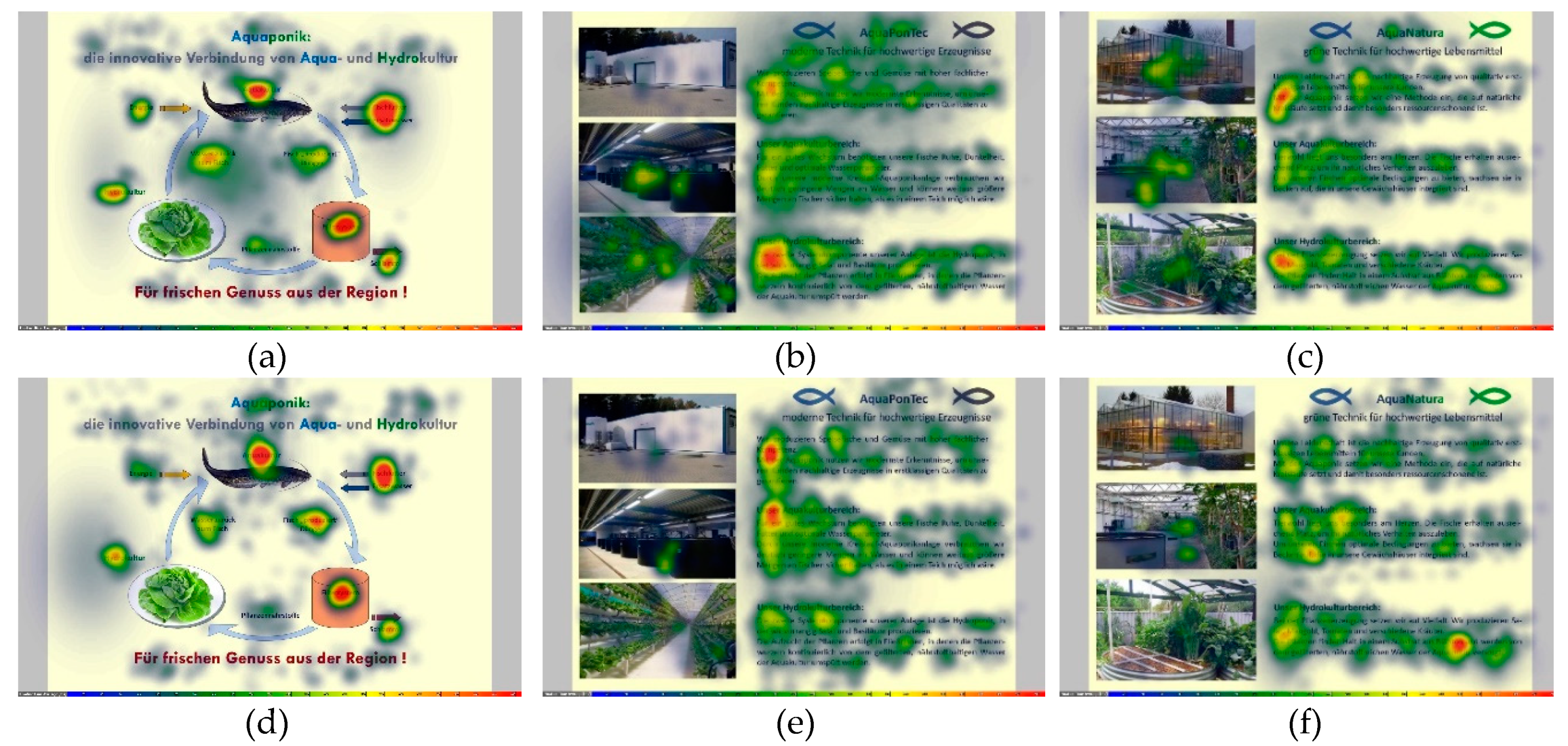 Sustainability 11 03580 g005