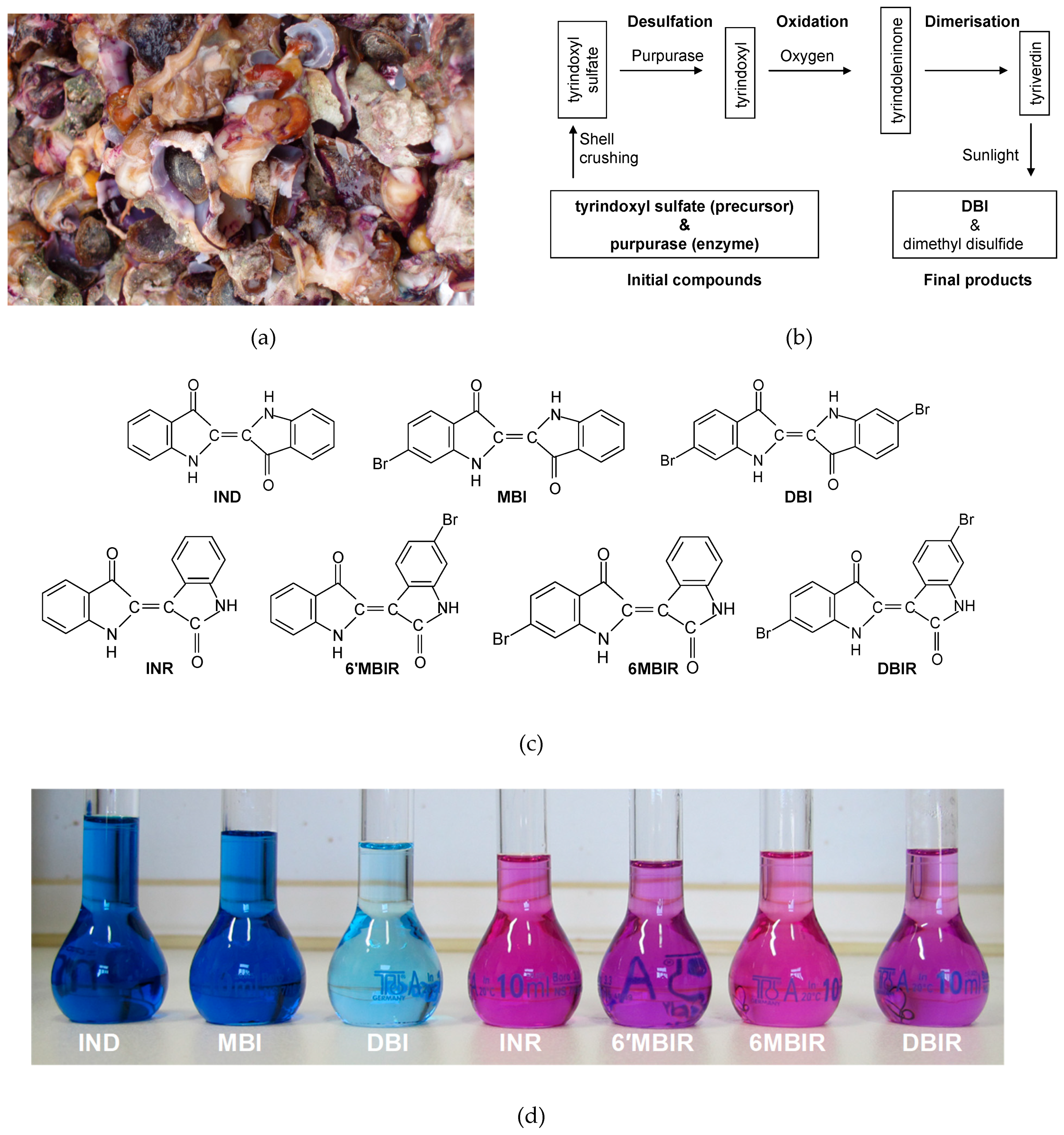 Sustainability 11 03595 g003
