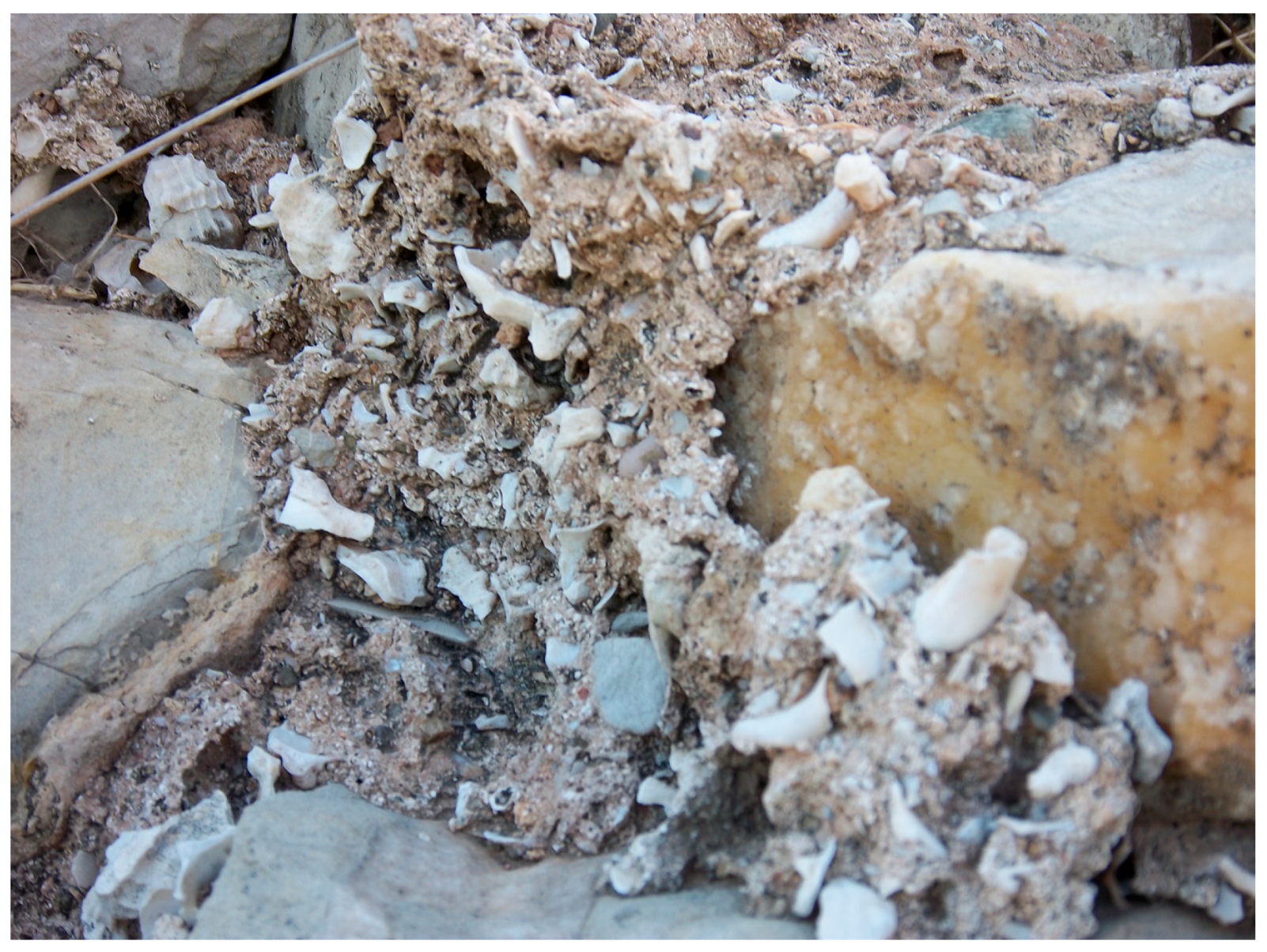 Sustainability 11 03595 g008