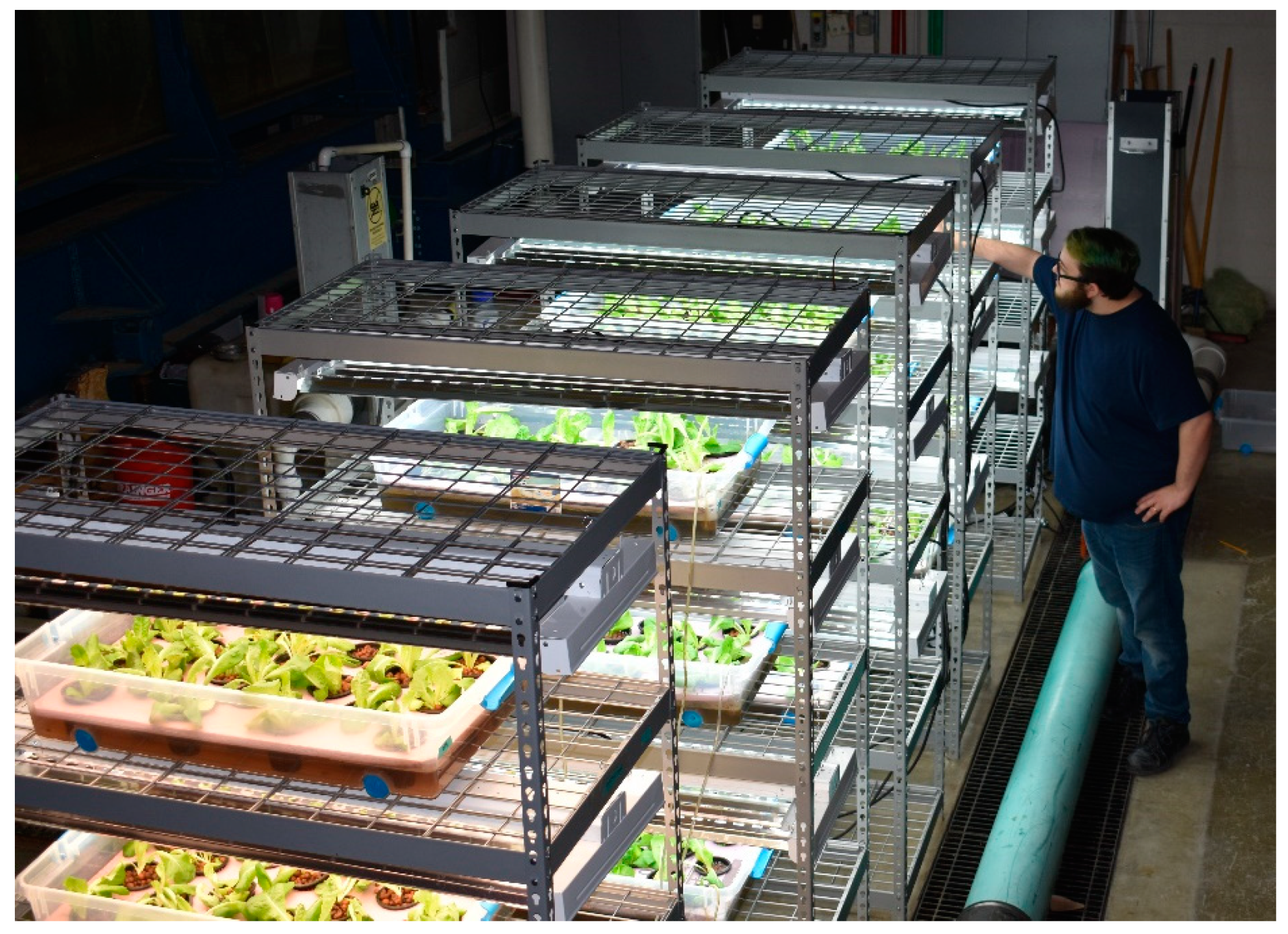 Sustainability 11 03605 g001