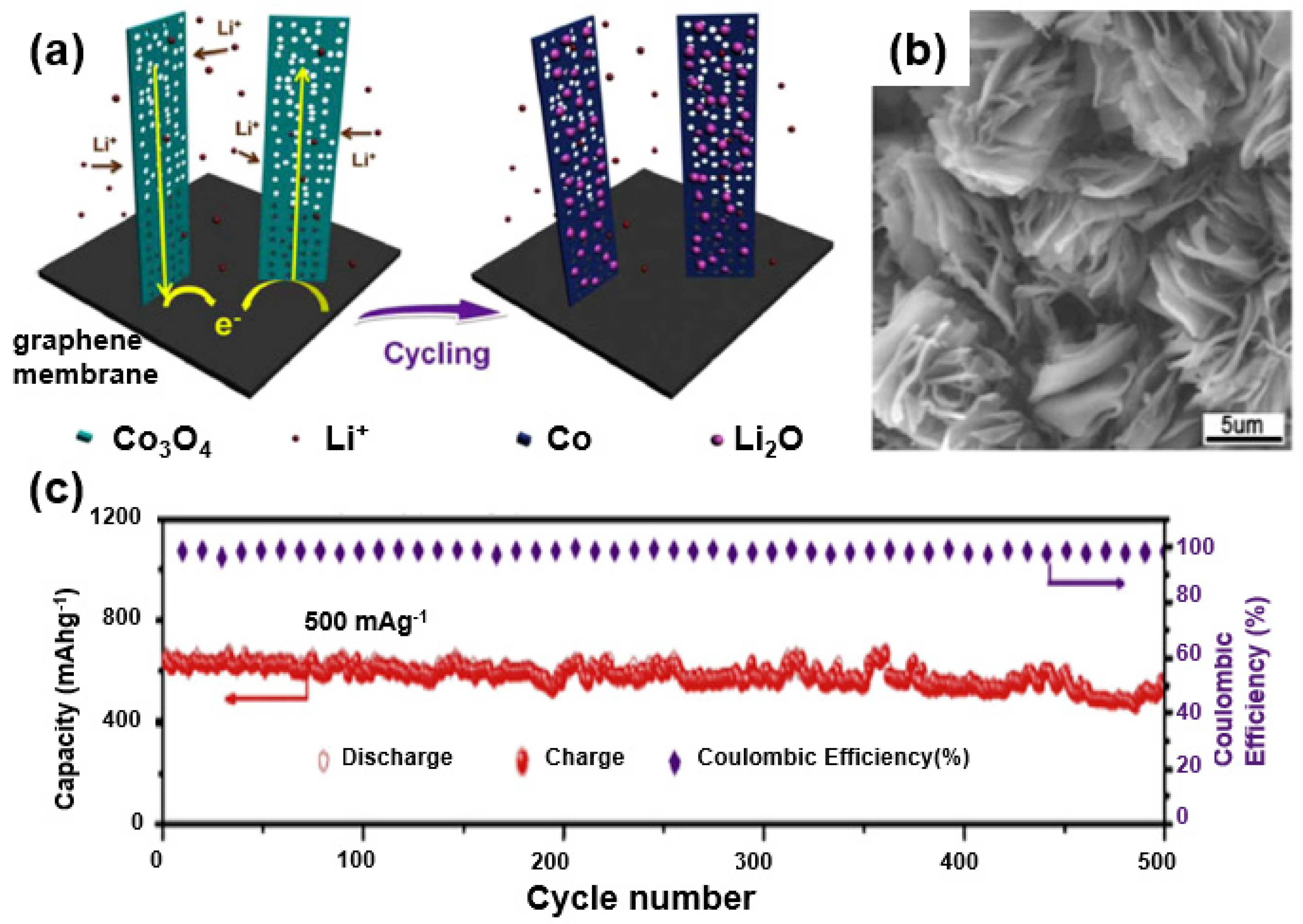 Sustainability 11 03694 g016