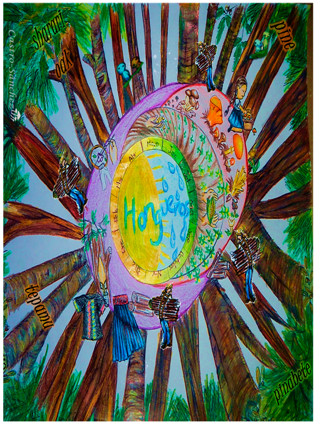 Sustainability 11 03779 g004