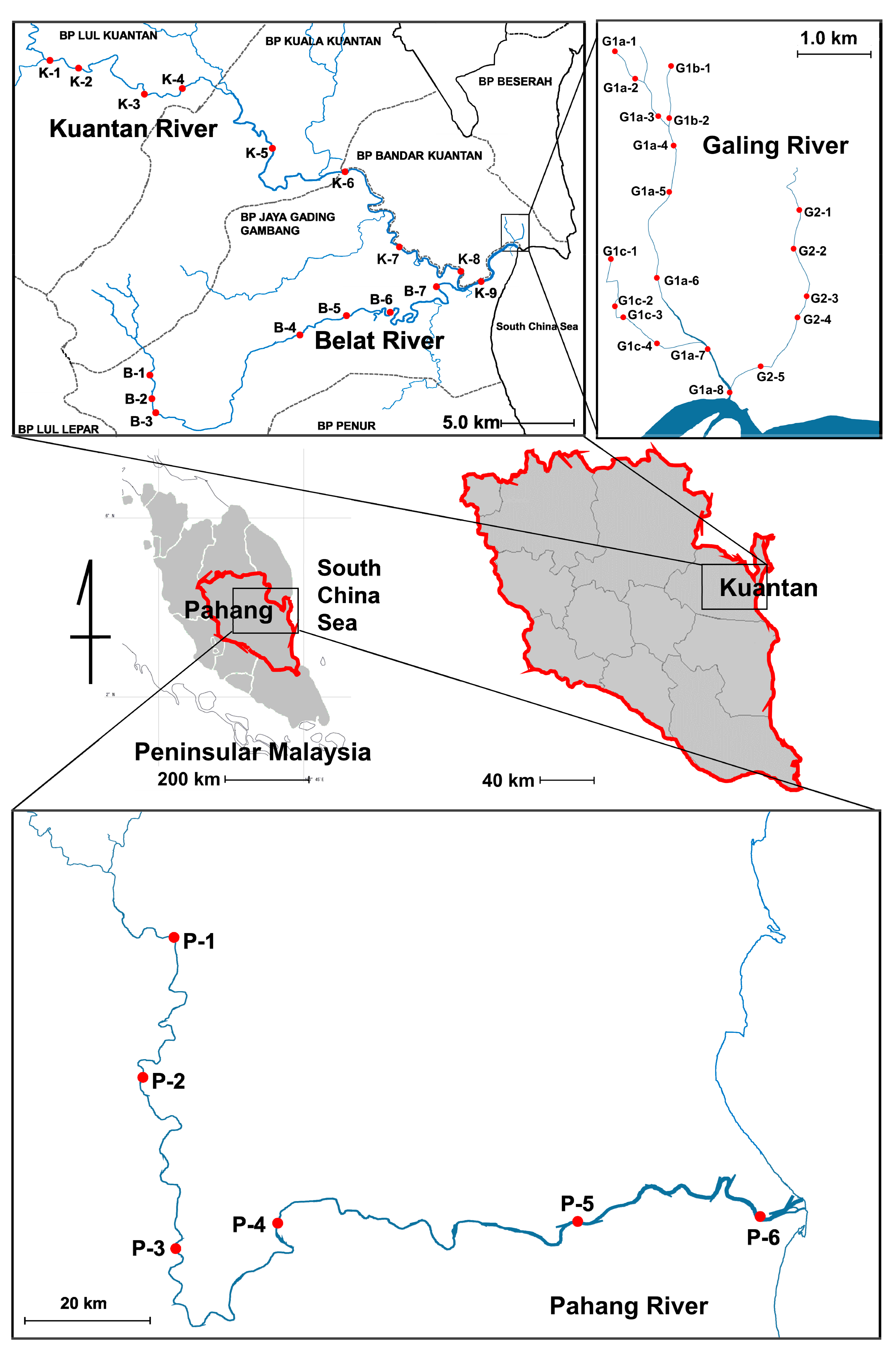 Sustainability 11 03813 g001 Sustainability 11 03813 g001
