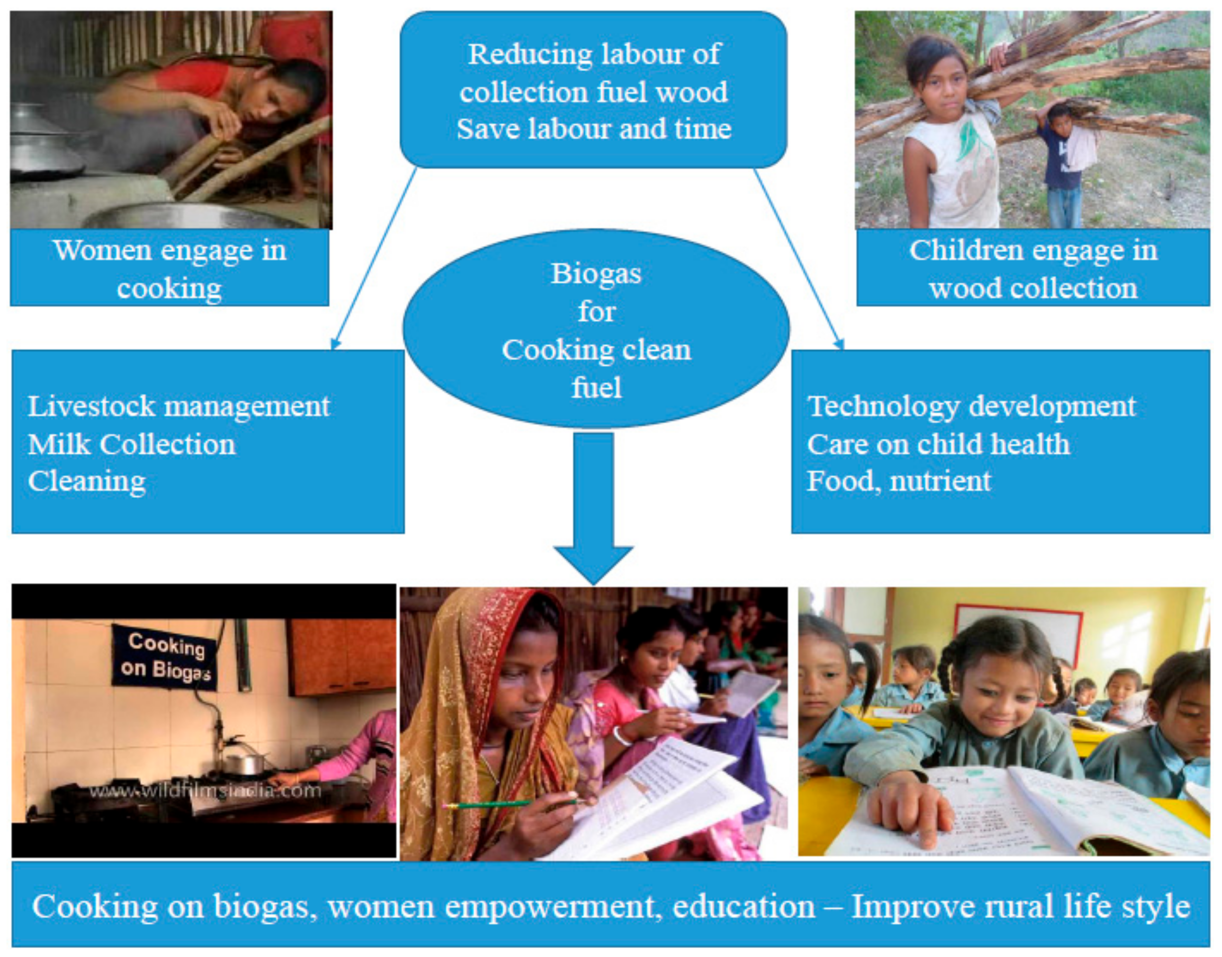 Sustainability 11 03814 g005