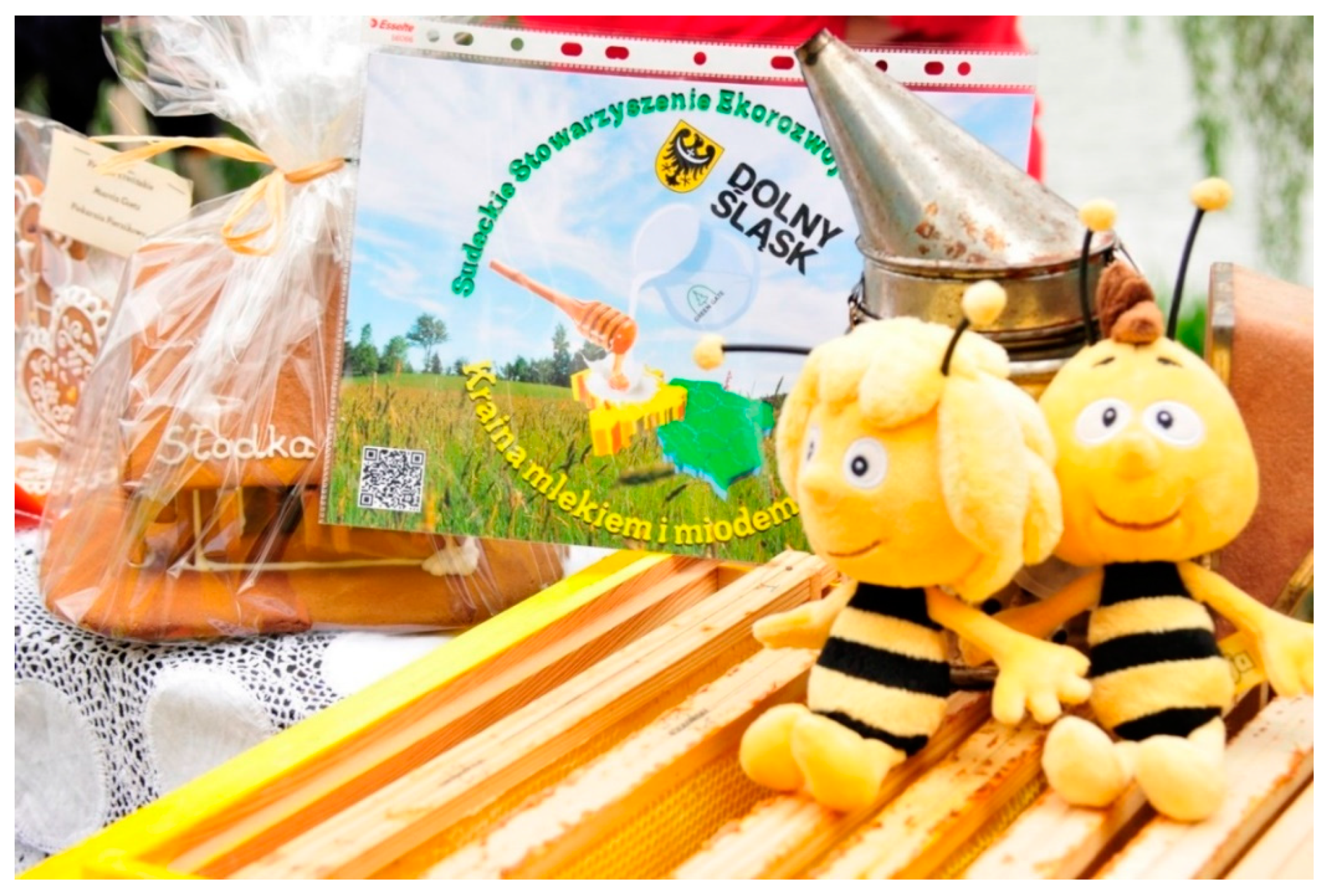 Sustainability 11 03841 g002