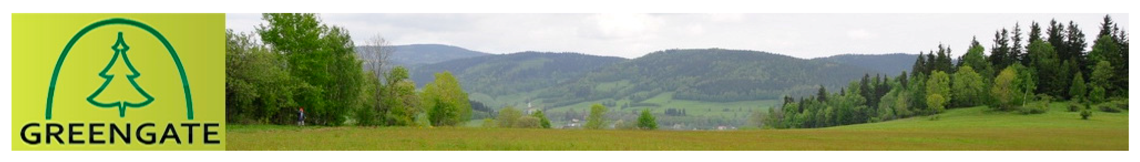 Sustainability 11 03841 g005