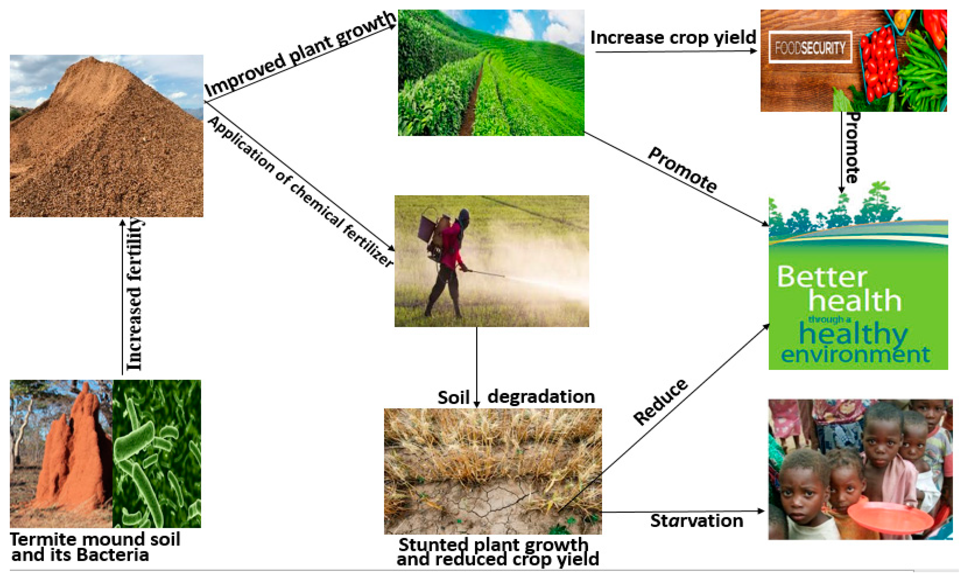 Sustainability 11 03847 g001