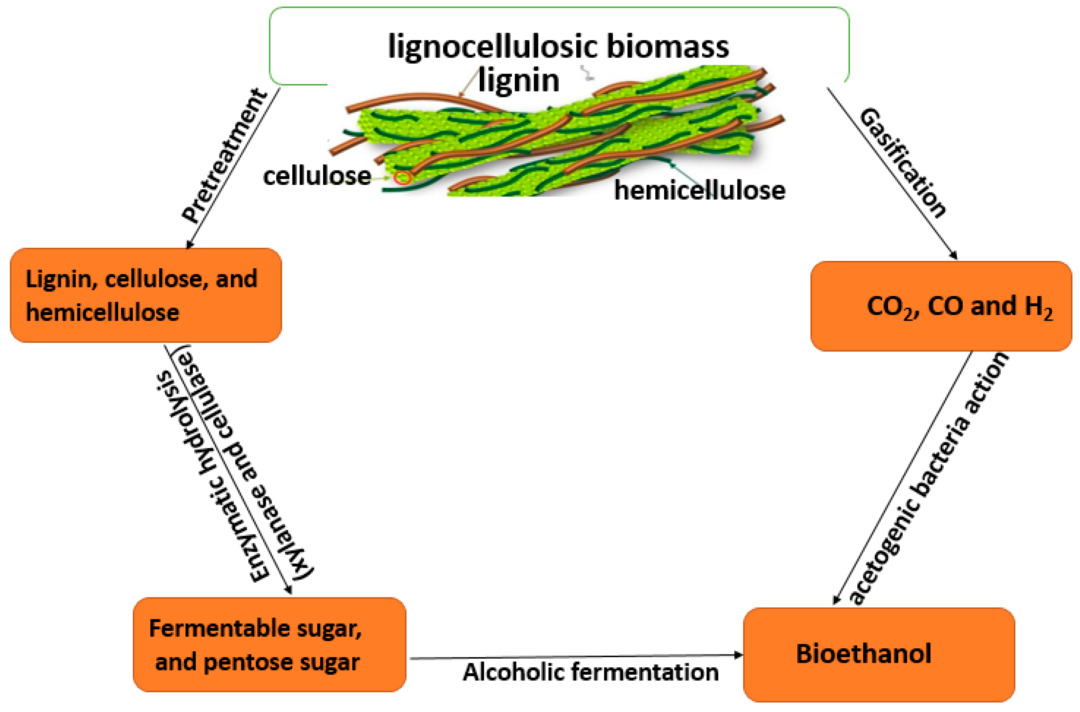 Sustainability 11 03847 g002