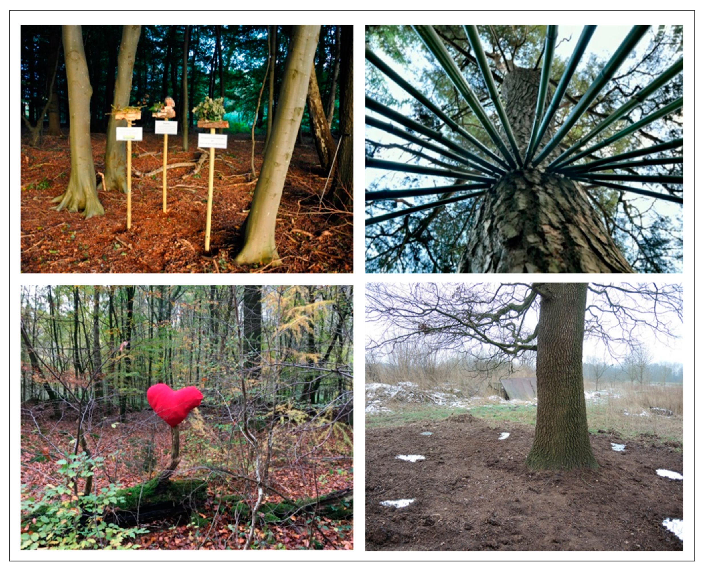 Sustainability 11 03851 g0a1